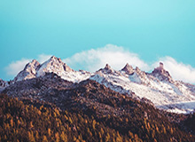 开云官网-轮番“教育”多位国产内线 35岁哈达迪仍能横行CBA